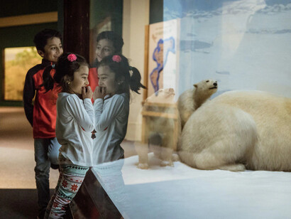 Nature walk and messages from the wilderness, exhibition view. Courtesy of Field Museum