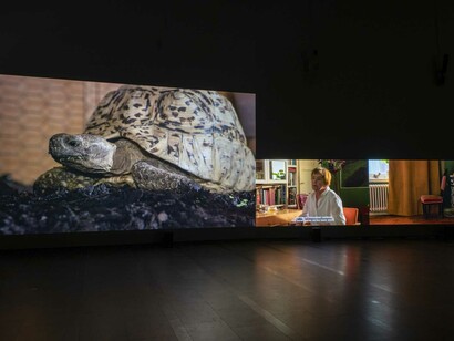 Eija-Liisa Ahtila, Reflection of a forest, exhibition view. Courtesy of Serlachius Museum