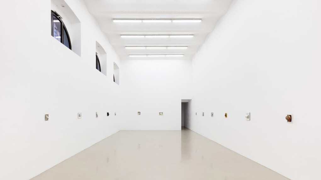 Hélène Fauquet, Species of the pod, exhibition view. Courtesy of Meyer-Kainer Gallery