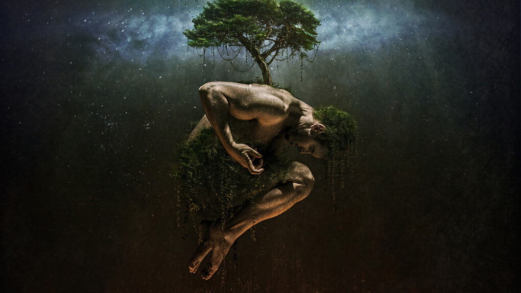 The Tree of Life
