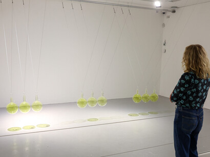 Hamad Butt, Apprehensions, exhibition view. Courtesy of IMMA