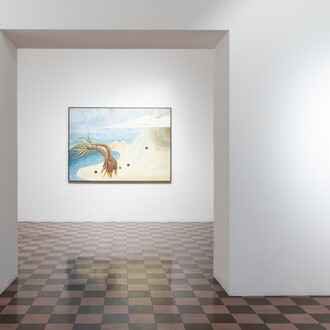 Rayana Rayo, Yo soy semilla, exhibition view. Courtesy of Travesía Cuatro