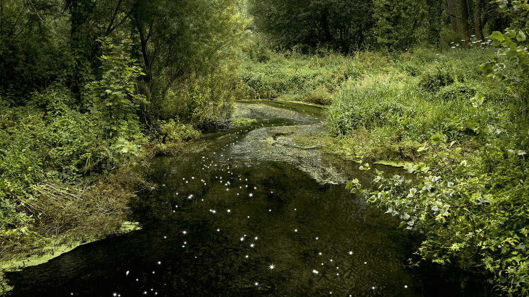 Ellie Davies, Chalk Streams. Courtesy the artist