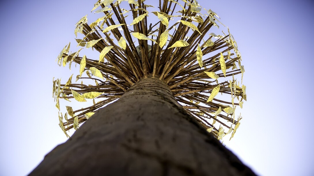 Luce e Ombra, corona luminosa Paolo Frullini