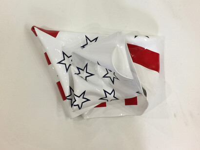 Mimi Herbert, Freedom flower series #2, #1, 2016. Courtesy of Bethesda Fine Art Gallery