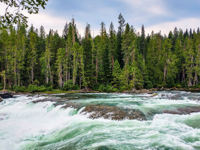 Stream flows rushing through an uninhabited forest on a cloudy day