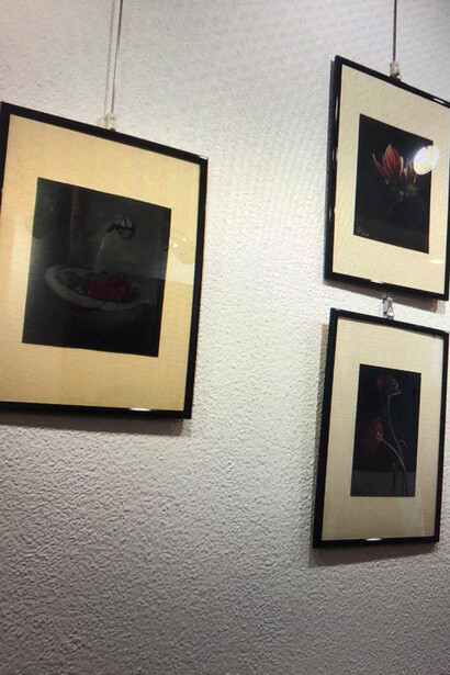 Esposizione nella Sala delle Ferriere, foto di Elisabetta Cantù Berzio