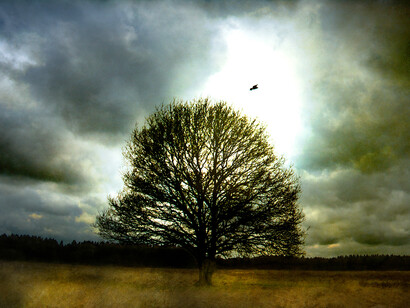 Eternity