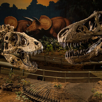 Dinosaurs in their Time. Courtesy of Carnegie Musuem of Natural History