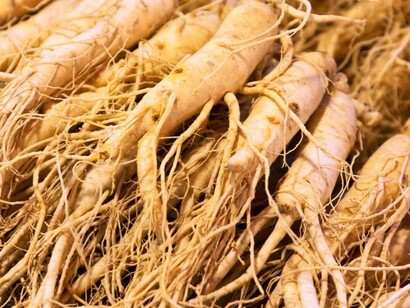 Ginseng regulates blood pressure and blood sugar