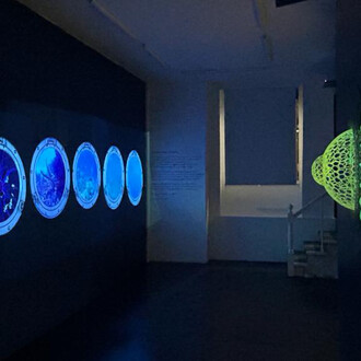 Katja Loher, Why Do The Waves Repeat the Questions I Ask Them? The Plankton Manifesto, installation at LatchKey Gallery. Courtesy the artist and LatchKey Gallery, NYC