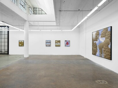 Laurens Legiers, Squinting to see more clearly, exhibition view. Courtesy of Nicodim Gallery