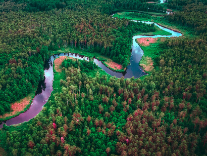 Amazonia ecuatoriana