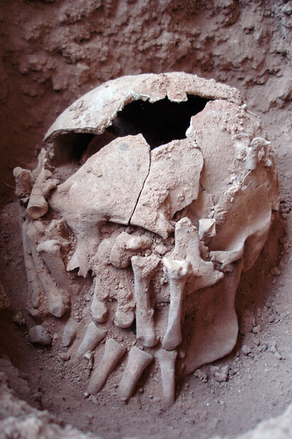 Remanescentes esqueletais encontrado em Lapa do Santo, região de Lagoa Santa em Minas Gerais, um sítio arqueológico que registra a presença humana no Brasil desde 12 000 anos atrás