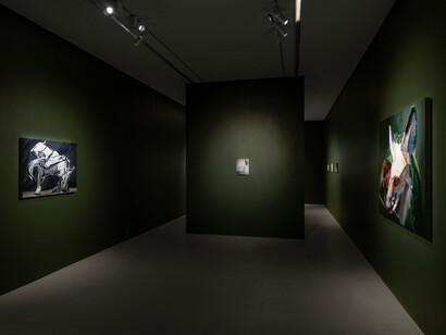 Emma Webster, The engine of beasts, vue d'exposition. Courtoisie de la Galerie Perrotin