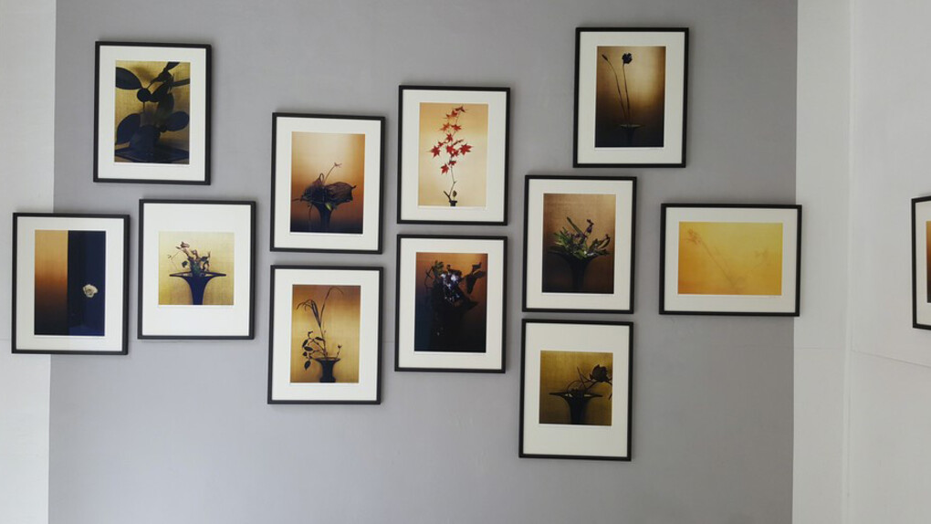 Éloge de l’ombre. Courtesy of Galerie Marie-Robin