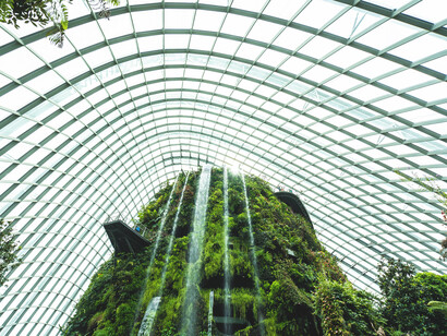 The harmonious blend of nature and architecture under the glass dome of the building emphasises the role of regenerative practices in mitigating climate change