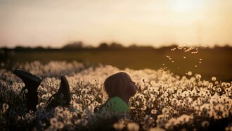 O amor, traduzido em cuidado, foi a referência para alguém que cuidou de nós. Não um amor alusivo, um amor abstrato ou romântico, mas uma atenção genuína que garantiu a nossa sobrevivência