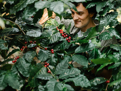 Embrace the essence of wellness with each harvest of plant-based superfoods, like chia seeds and goji berries, transforming health from farm to table