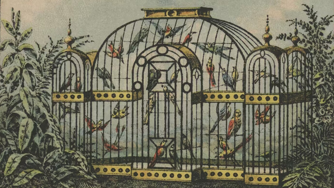 Merkel Meyer and Ottmann Lithography, Trade card: Manhattan bird store. Courtesy of the New-York Historical Society Gallery