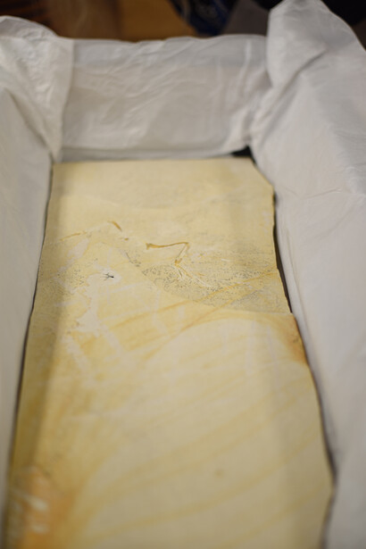 Unprepared slab on the day of
its arrival in August 2022. Courtesy of Field Museum