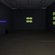 Carpenter Center for the Visual Arts