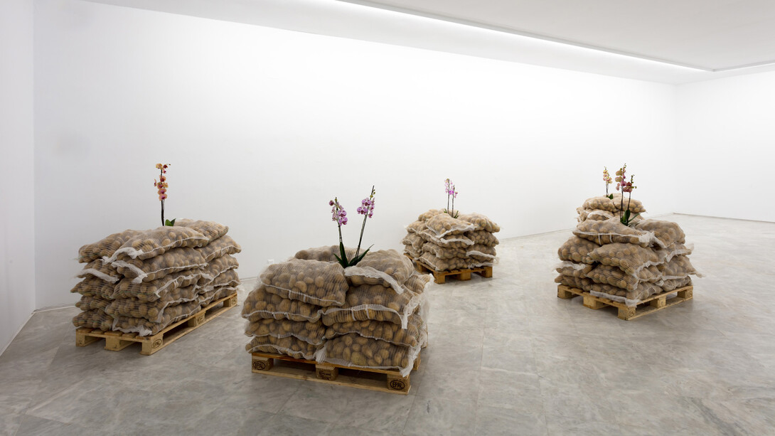 Álvaro Albaladejo, Alicia y Nilo, 2024. Courtesy of Centro Andaluz de Arte Contemporáneo. Photo by Pepe Mordón