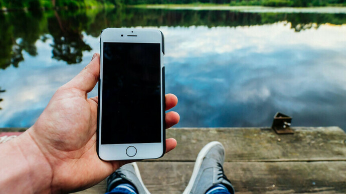 A person using his phone, oblivious to nature around them