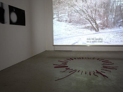Aušra Kaziliūnaitė, The light that grows, exhibition view. Courtesy of Meno Parkas Gallery