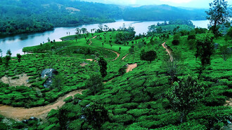 The lush green hills of Munnar, Kerala, with a serene river winding through the landscape