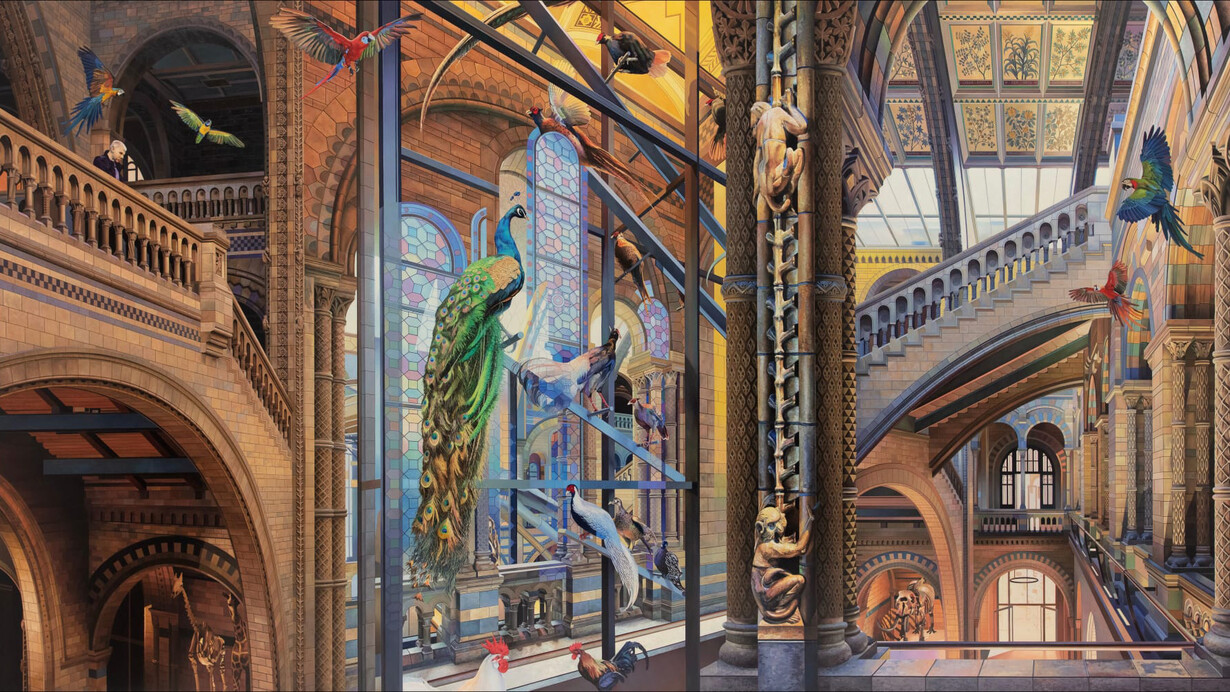 Nathan Walsh, NHM, 2024. Courtesy of Friedrichs Pontone