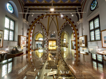 The plant kingdom. Courtesy of Museum and Library of Hungarian Agriculture