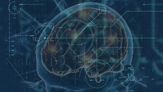 Le cerveau réduit à un code numérique, loin de sa complexité organique