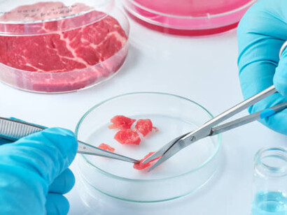 Cultured meat is produced by growing animal cells in a lab without slaughtering animals