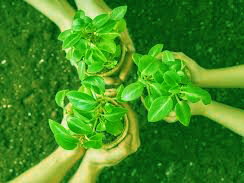 Questians possess a relentless desire to do whatever it takes – to save our planet