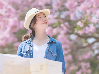 Amidst spring's cherry blossoms, an Asian woman tourist donning a denim jacket gracefully navigates the park, clutching a city map