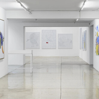Àkùko, Eiyéle and Ekodidé – A flock by Alberto Pitta, exhibition view. Courtesy of Nara Roesler Gallery