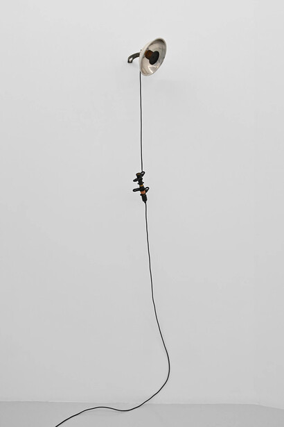 Pablo Capitán del Río, La otra selva, exhibition view. Courtesy of Art Nueve