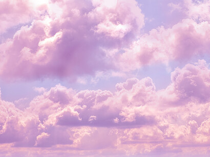 Each part of a cell can interact with very many other parts