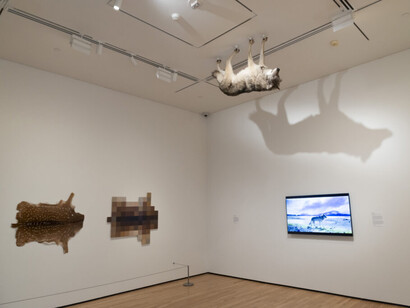 Nicholas Galanin, Exist in the width of a knife's edge, exhibition view. Courtesy of The Baltimore Museum of Art