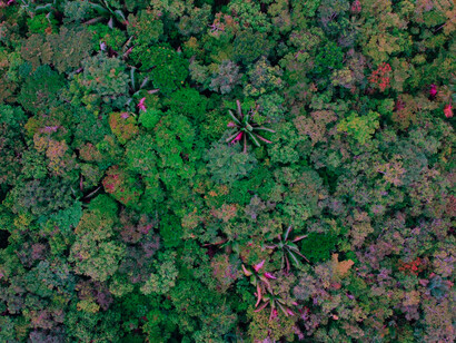 Vista panorámica de la región amazónica en el Ecuador