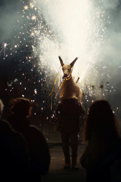 Angelica Mesiti, The rites of when (video still), 2024. Courtesy of the Art Gallery of New South Wales