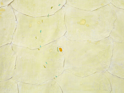Karla Black, Times, detail, 2014, sugar paper, chalk, ribbon, body paint, nail varnish, 202 x 470 cm, 79 1/2 x 185 1/8 ins, Copyright the artist; Courtesy Stuart Shave/Modern Art, London, and Gisela Capitain, Cologne; Photography RG Image