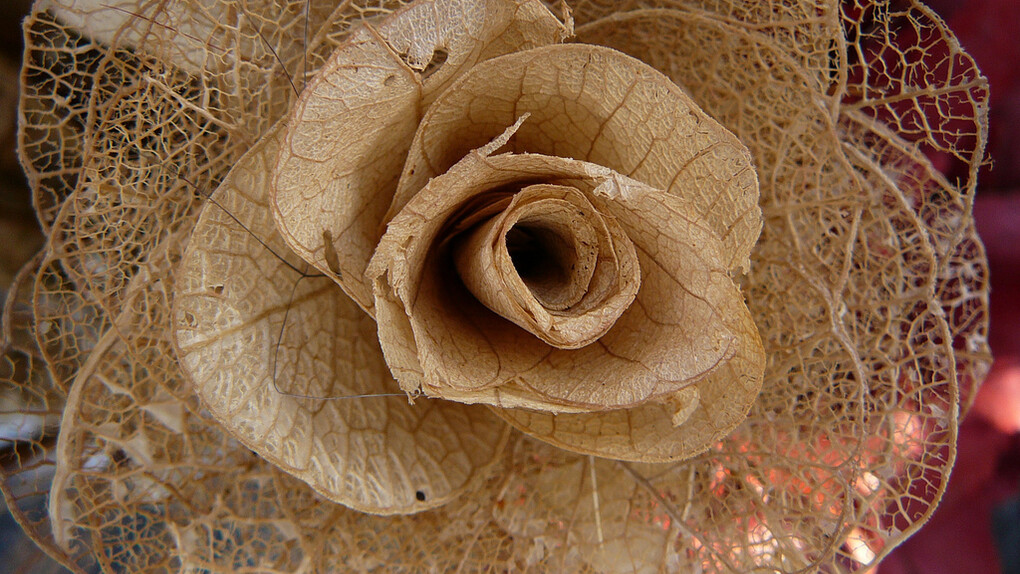Ferias artesanales en Brasil. Flor de cerrado