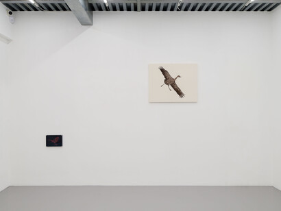 Marta Roberti, Due mondi, e io vengo dall'altro, exhibition view. Courtesy of z2o Sara Zanin