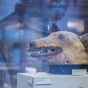 Peabody Museum