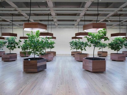 Helen Mayer Harrison y Newton Harrison, Pieza de supervivencia #5, huerto portátil, vista de exhibición. Cortesía de Whitney Museum