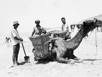 La historia y la sociedad son entendidas como productos de la creatividad humana. Hombres llenando cajas llevadas por un camello, Frank Scholten (1881-1942), Tel Aviv, Palestina