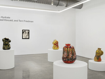Various artists, Don’t forget to hydrate, exhibition view. Courtesy of Mindy Solomon Gallery