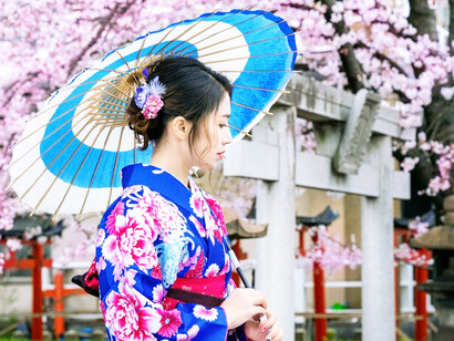 In the heart of spring, an Asian woman in a traditional Japanese kimono stands amidst blooming cherry blossoms, celebrating Japan's timeless beauty